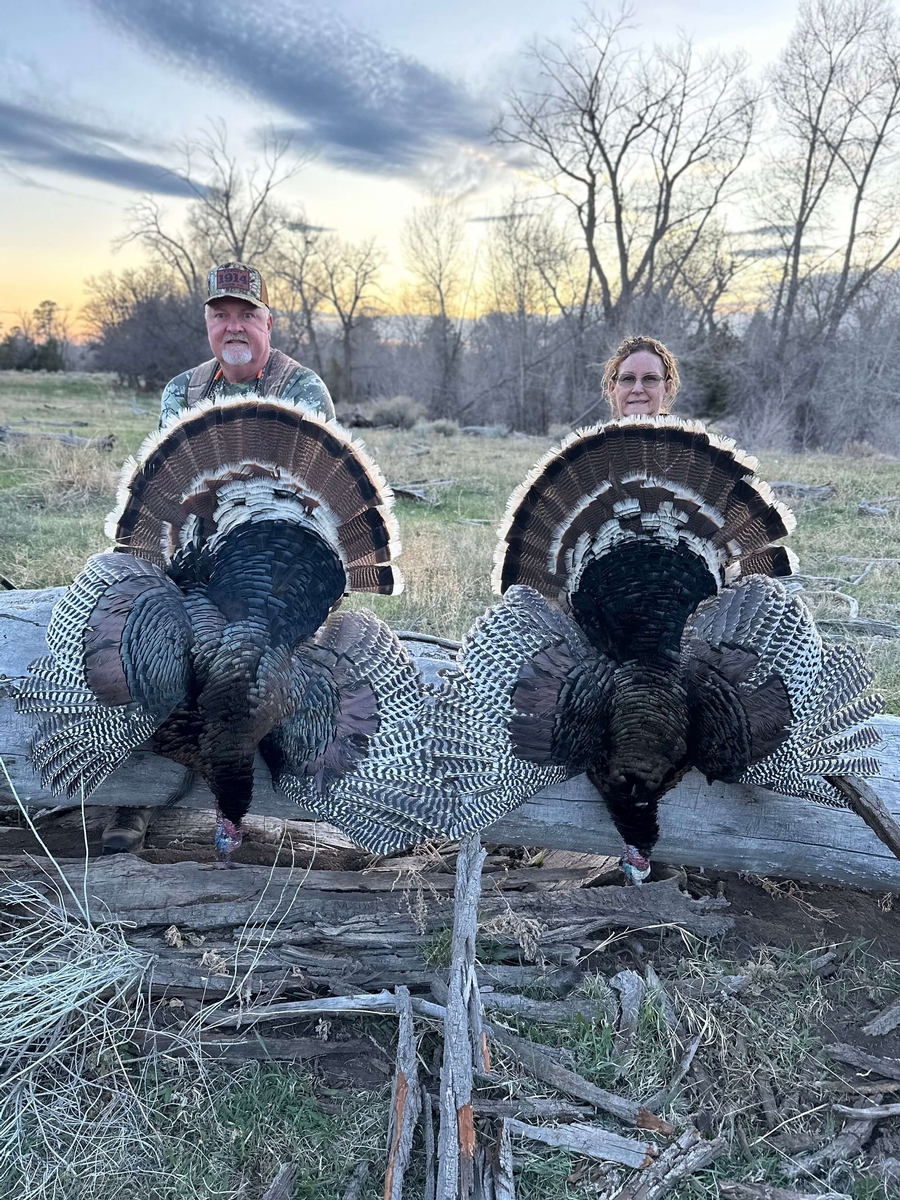 Guided Merriam's Turkey Hunts | Colorado Turkey Hunting Outfitters