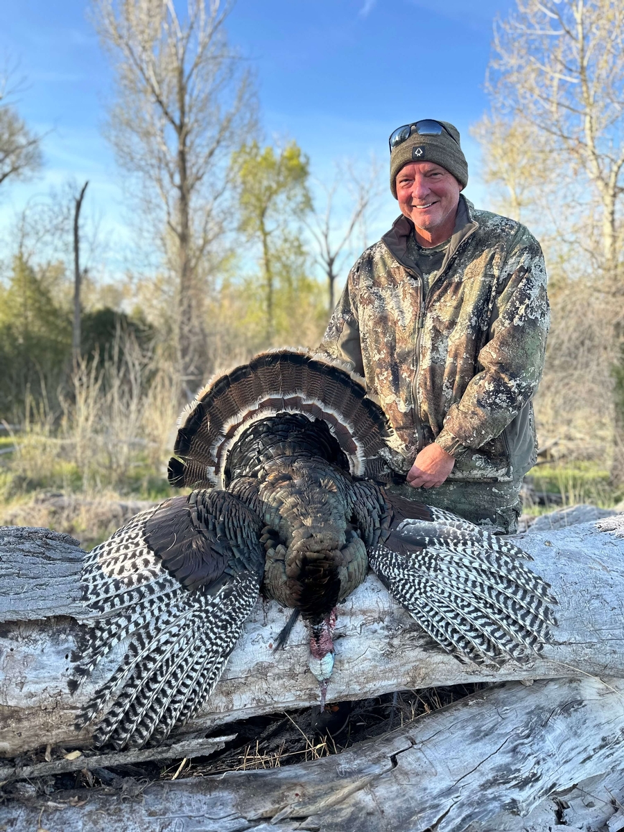 Guided Merriam's Turkey Hunts | Colorado Turkey Hunting Outfitters