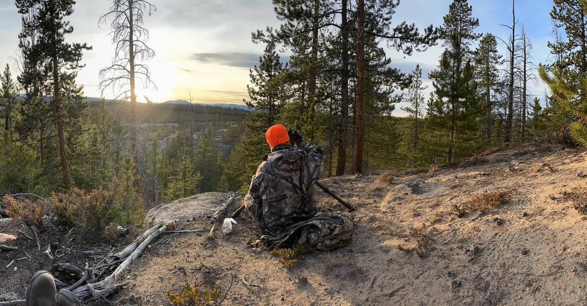 Glassing for elk in Colorado